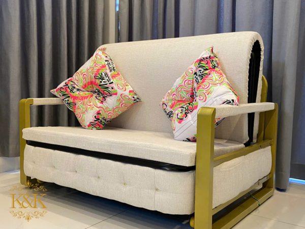 z5884857517518_f6b18fa4d30043df12bbc5a450a148ad Sofa Giường 025